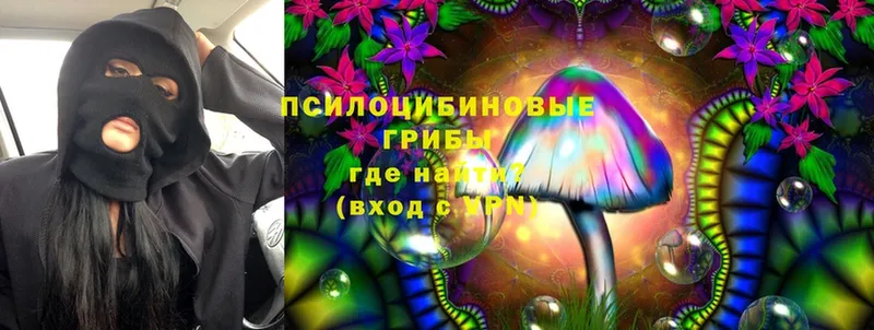 Галлюциногенные грибы MAGIC MUSHROOMS  Алексин 